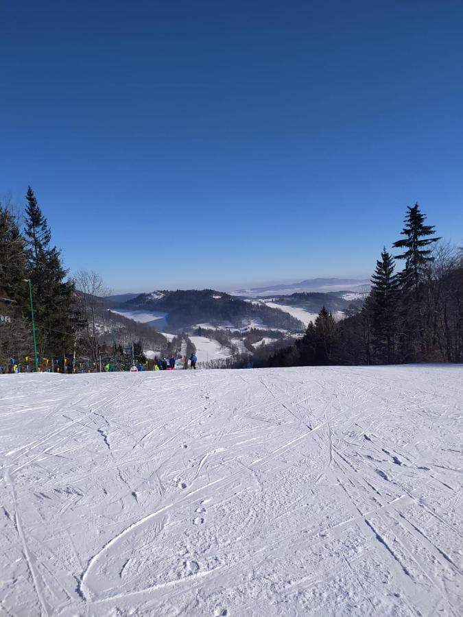 44 Slaska Kamienna Gora Exterior photo